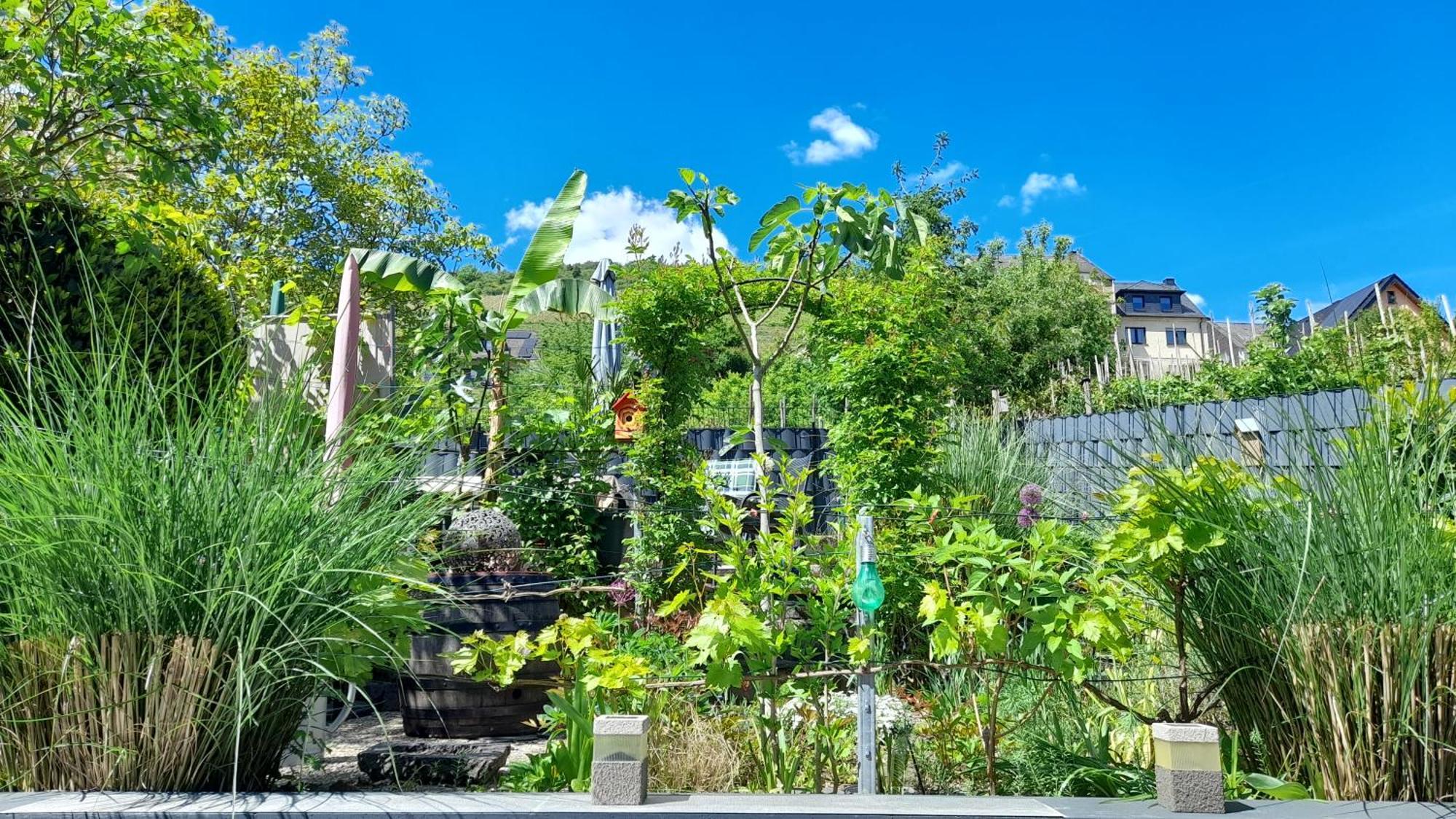 Ferienhaus Heimes Klotten Exterior foto